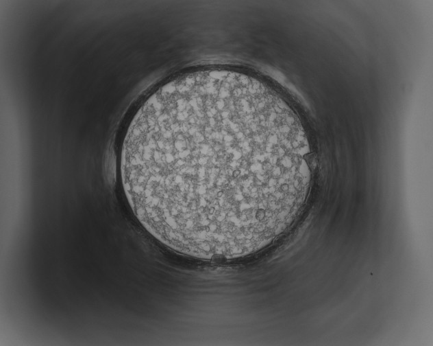 X0000100471221200807111034