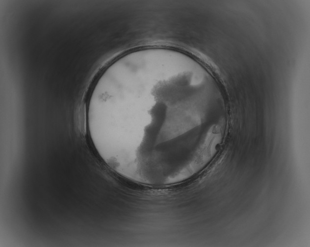 X0000100471223200807111034