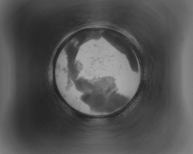 X0000100471224200807111034