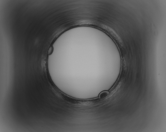 X0000100471225200807111034