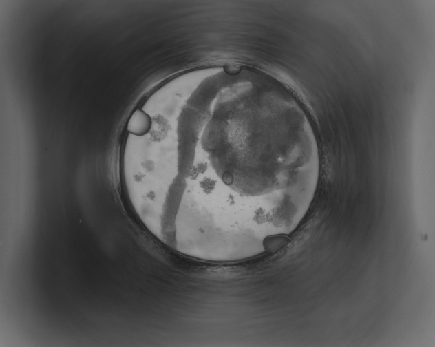 X0000100471227200807111034