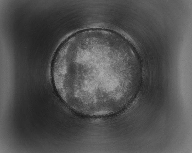 X0000100471230200807111034