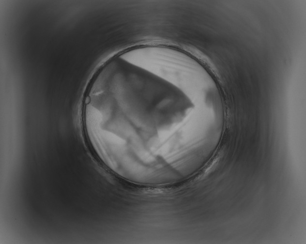 X0000100471231200807111034