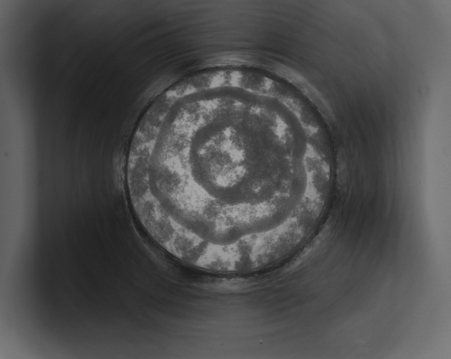 X0000100471233200807111034