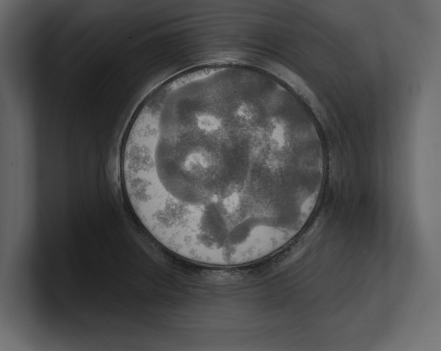 X0000100471234200807111034