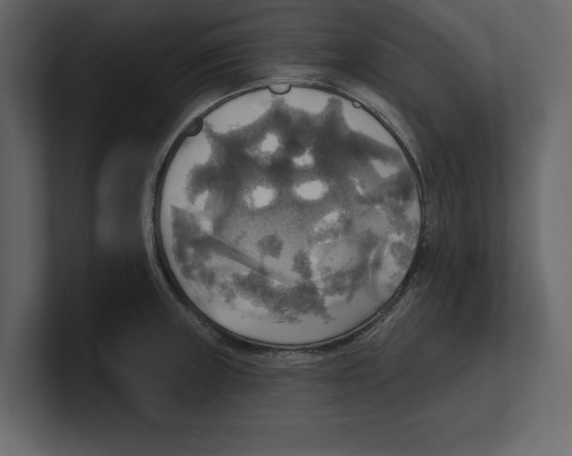 X0000100471235200807111034