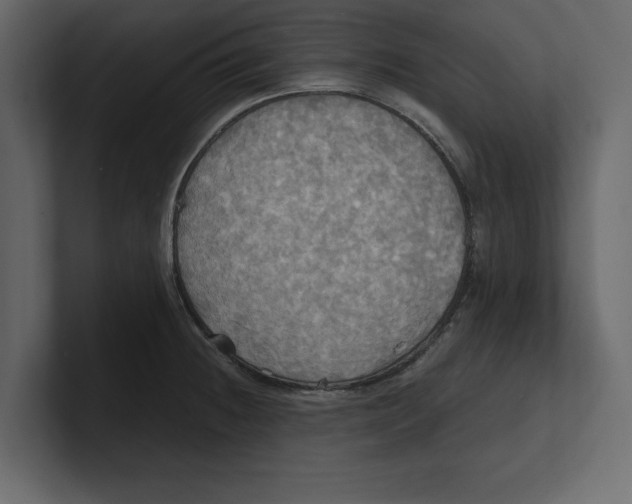 X0000100471236200807111034