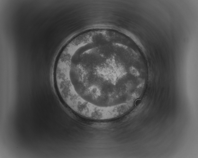 X0000100471237200807111034