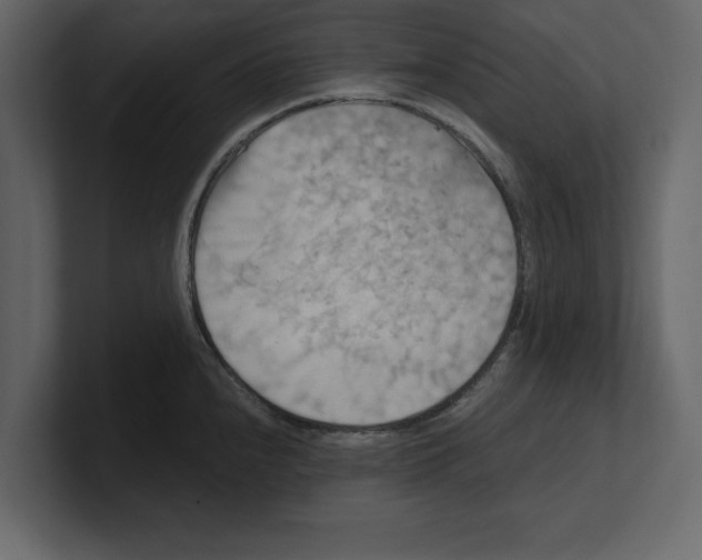 X0000100471240200807111034