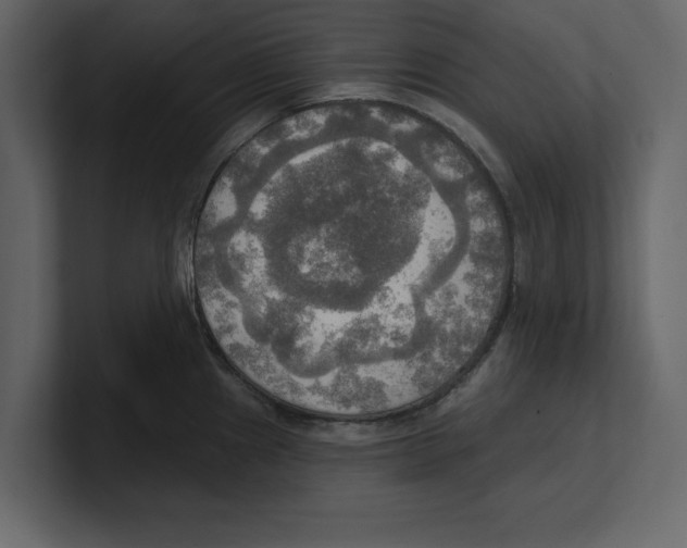 X0000100471241200807111034