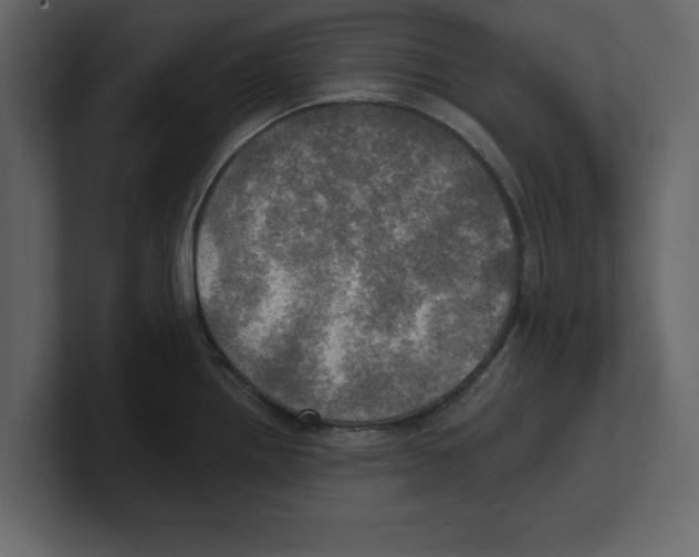 X0000100471242200807111034