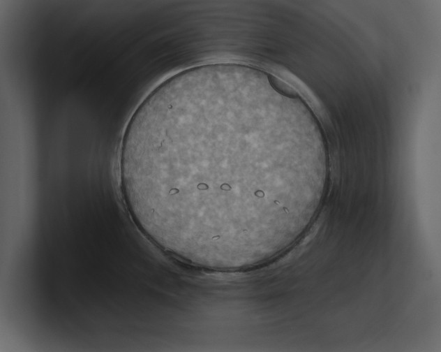 X0000100471244200807111034