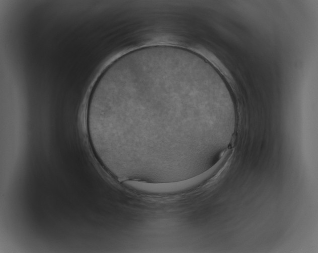 X0000100471246200807111034