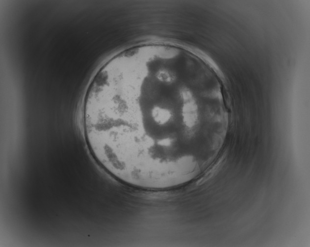 X0000100471247200807111034