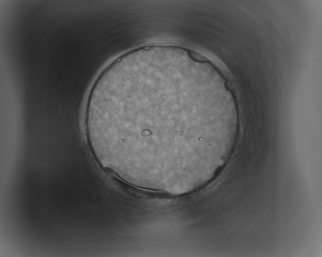 X0000100471248200807111034