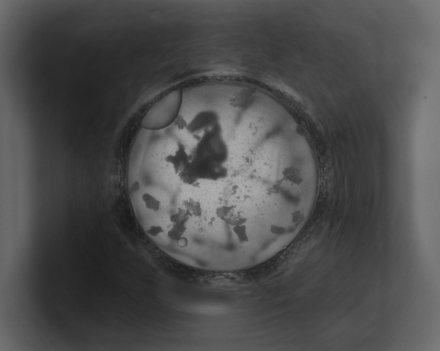 X0000100471255200807111034