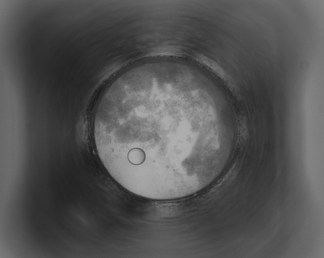 X0000100471258200807111034