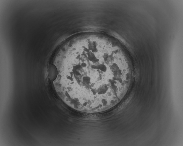 X0000100471259200807111034