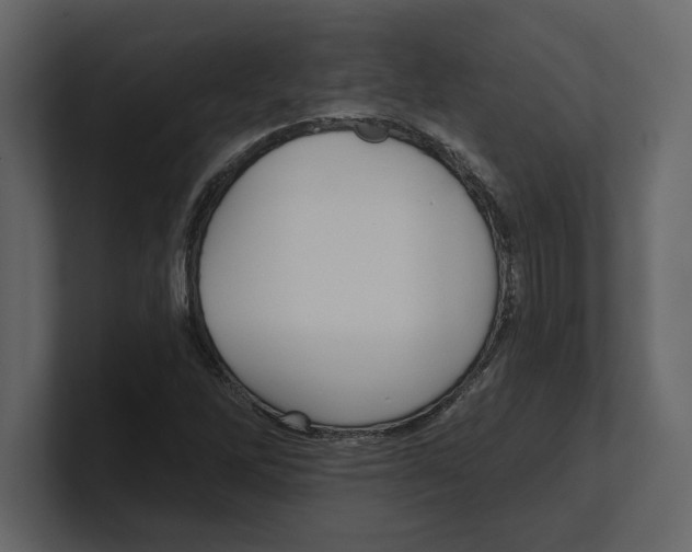 X0000100471262200807111034