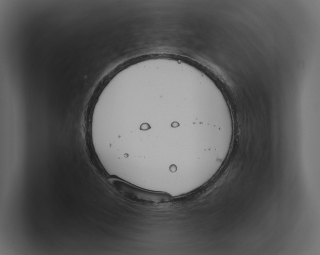 X0000100471264200807111034