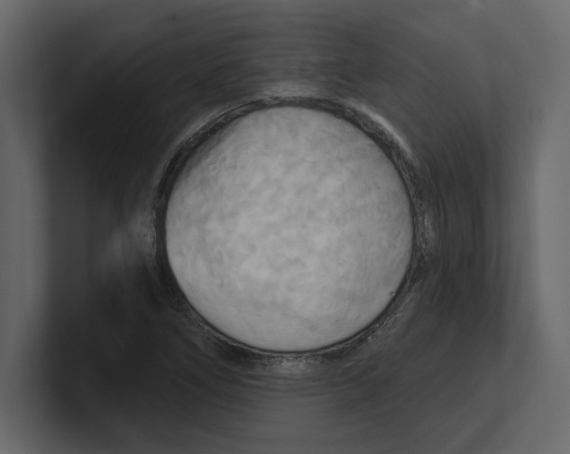 X0000100471266200807111034