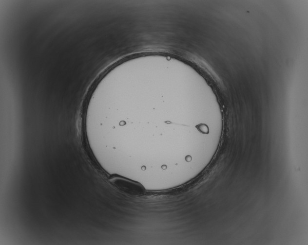 X0000100471268200807111034