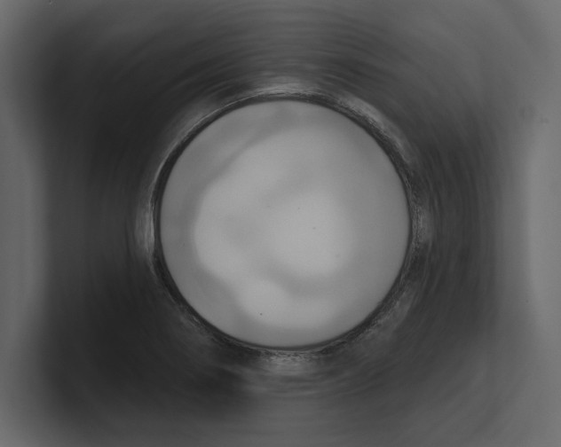 X0000100471274200807111033