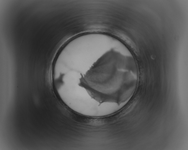 X0000100471275200807111033