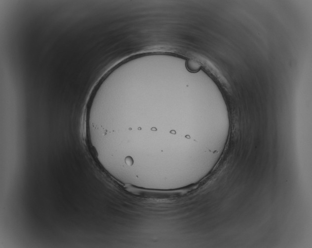 X0000100471276200807111033