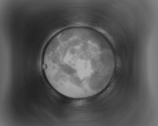 X0000100471278200807111033