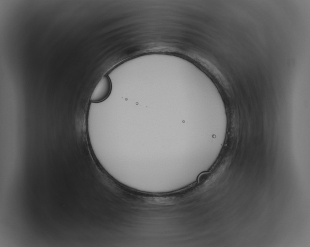 X0000100471281200807111033