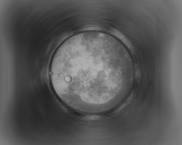 X0000100471282200807111033