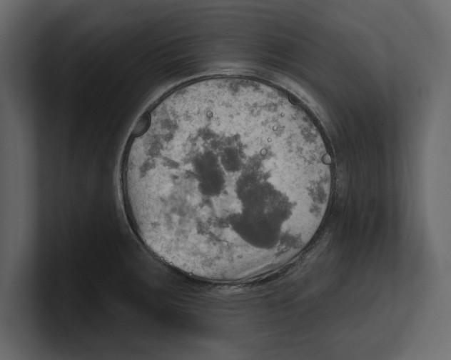 X0000100471283200807111033