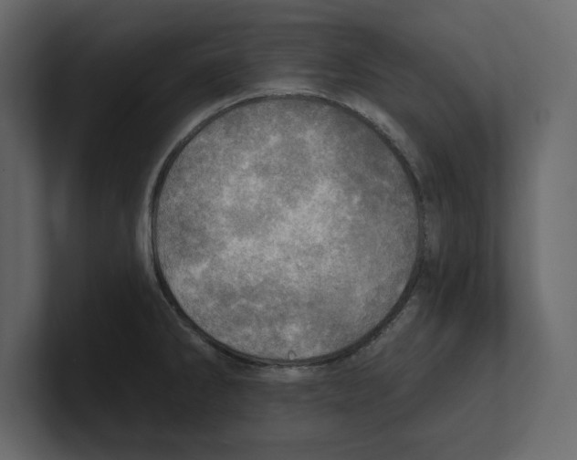 X0000100471286200807111033