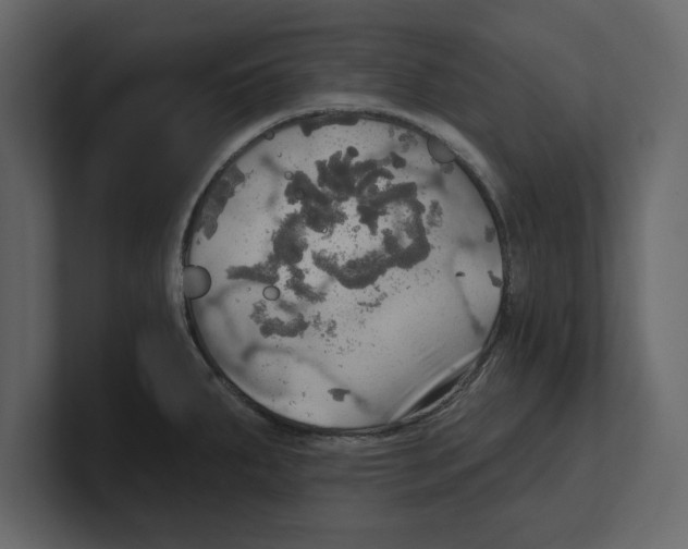 X0000100471287200807111033