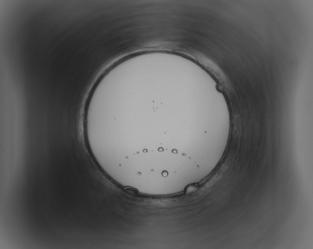 X0000100471288200807111033