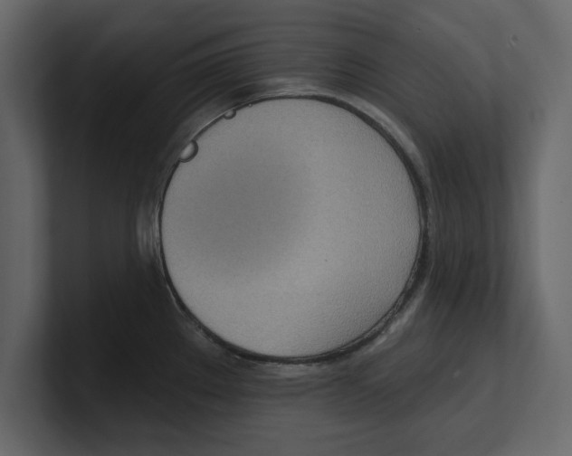 X0000100471289200807111033