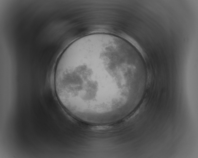 X0000100471290200807111033