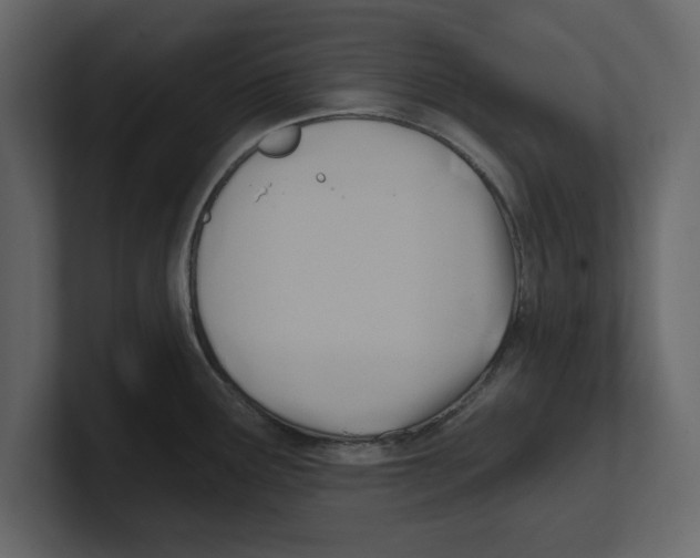 X0000100471291200807111033