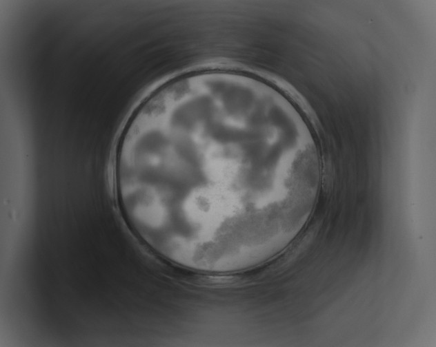 X0000100471295200807111033