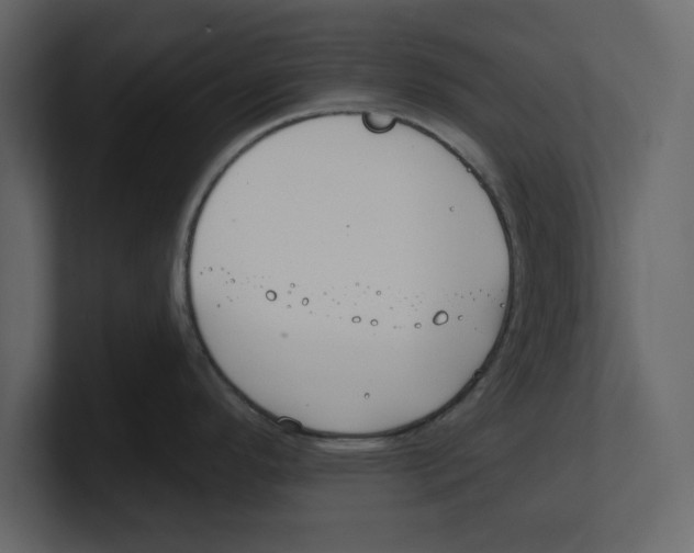 X0000100471296200807111033