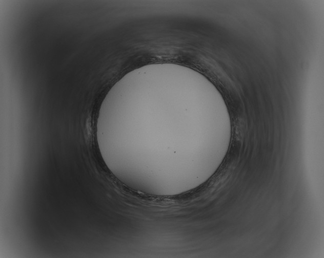 X0000100471298200807111033