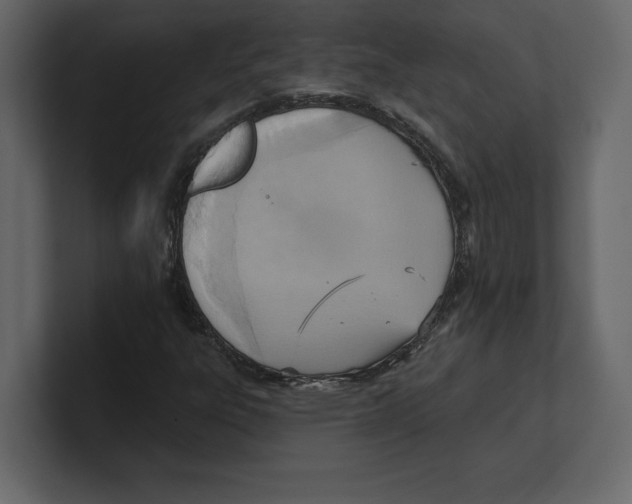 X0000100471303200807111033