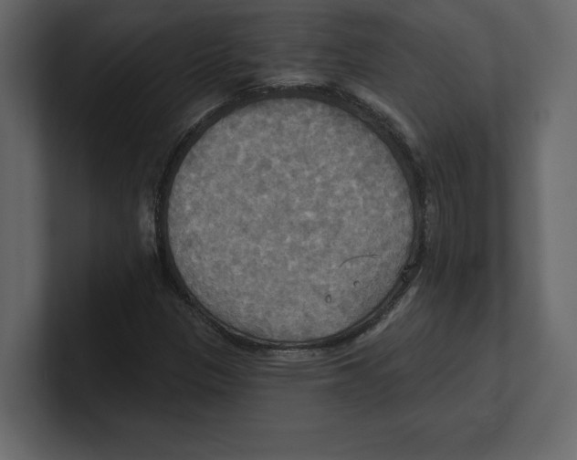 X0000100471305200807111033