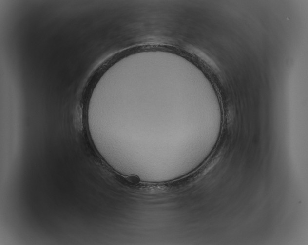 X0000100471310200807111033