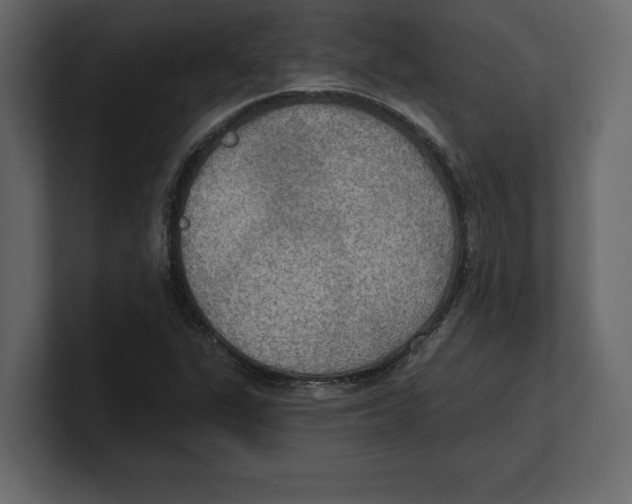 X0000100471311200807111033