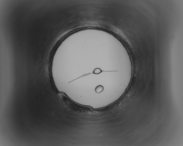 X0000100471312200807111033