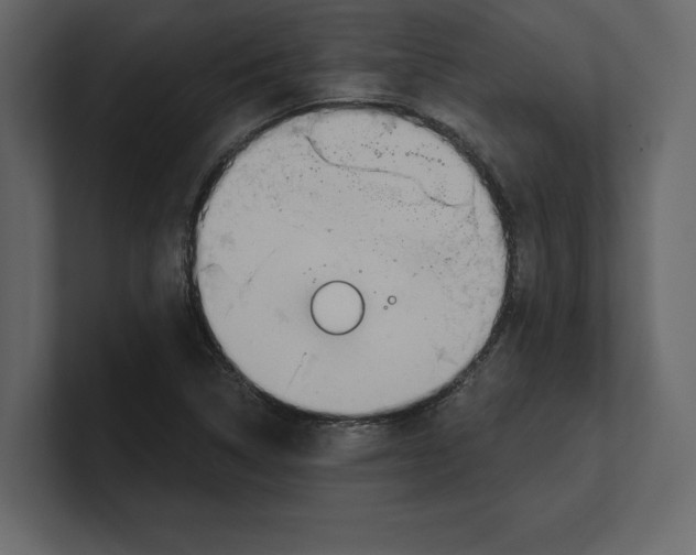 X0000100471314200807111033