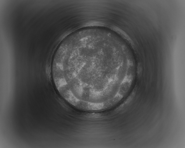 X0000100471321200807111033