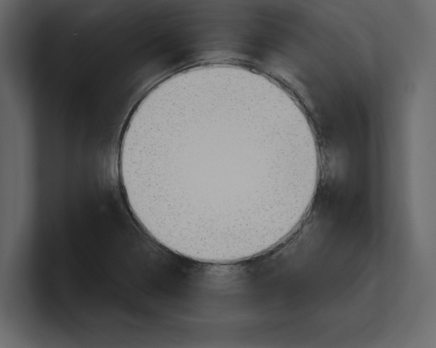 X0000100471322200807111033